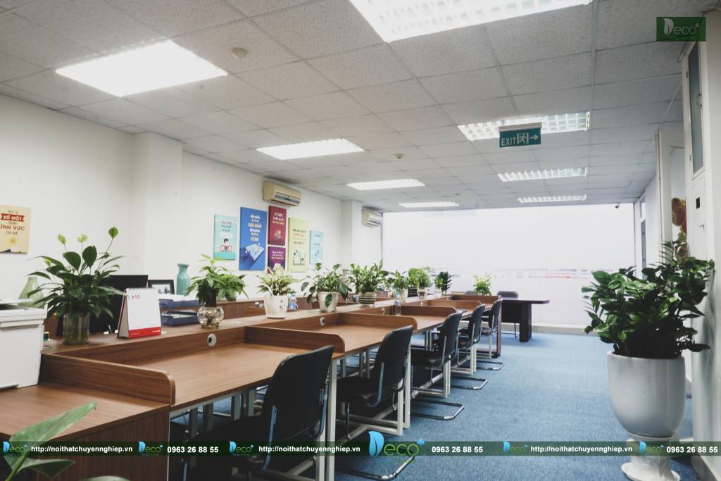 mẫu văn phòng đẹp vĩnh phúc - Khu vực làm việc xanh dành cho nhân viên 